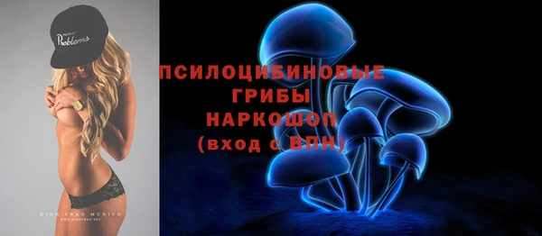 дживик Волоколамск